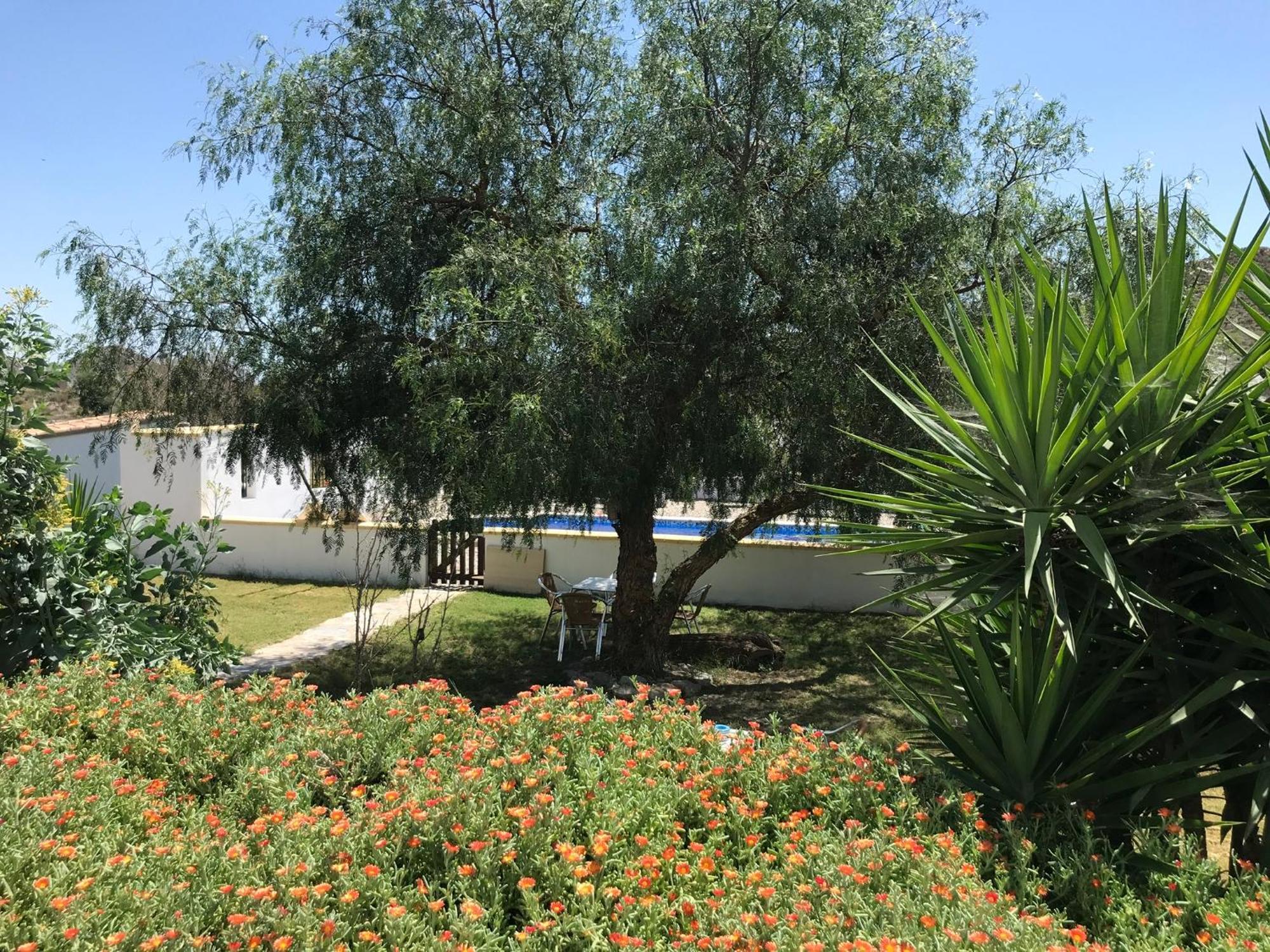 Bella Vista Rural Retreat Apartment Arboleas Luaran gambar